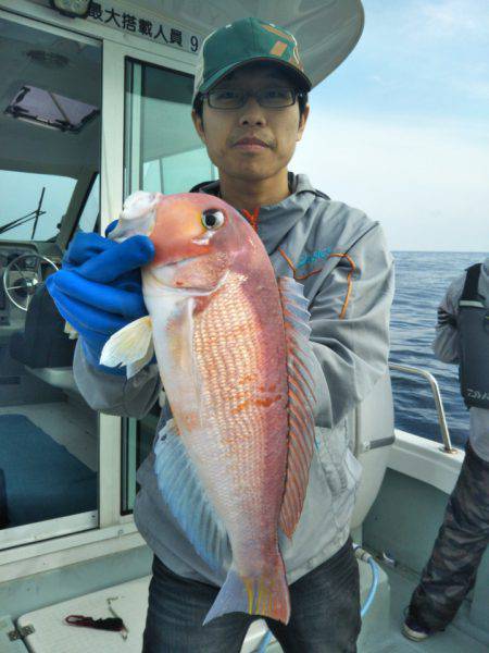 アマテラス 釣果