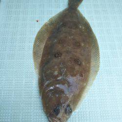 アマテラス 釣果