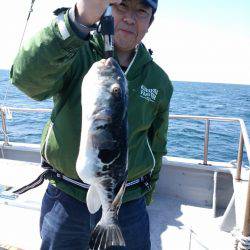 ありもと丸 釣果