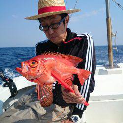 エンペラー 釣果