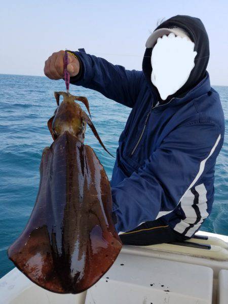 ソルトウォーターガイドフレンズ 釣果