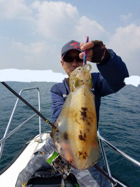 ソルトウォーターガイドフレンズ 釣果