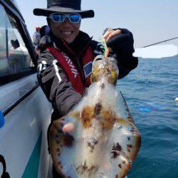 ソルトウォーターガイドフレンズ 釣果