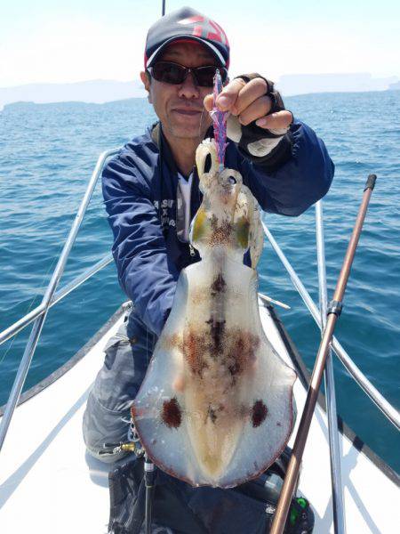 ソルトウォーターガイドフレンズ 釣果