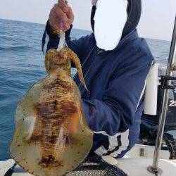 ソルトウォーターガイドフレンズ 釣果