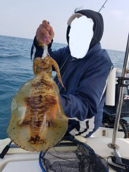 ソルトウォーターガイドフレンズ 釣果