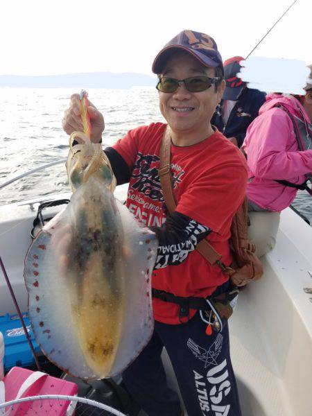 ソルトウォーターガイドフレンズ 釣果