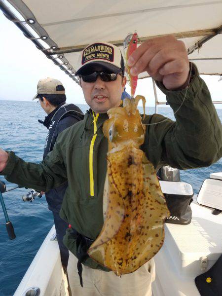 ソルトウォーターガイドフレンズ 釣果