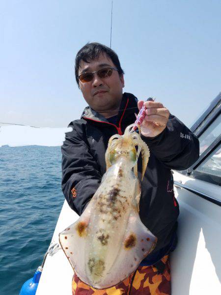 ソルトウォーターガイドフレンズ 釣果