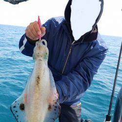 ソルトウォーターガイドフレンズ 釣果