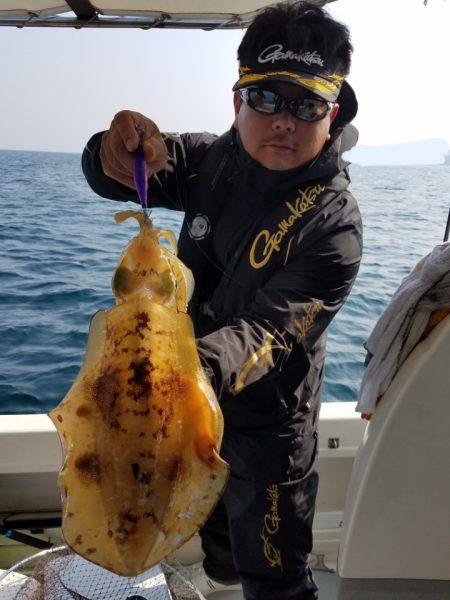 ソルトウォーターガイドフレンズ 釣果