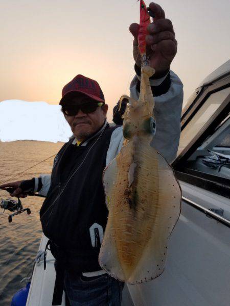 ソルトウォーターガイドフレンズ 釣果