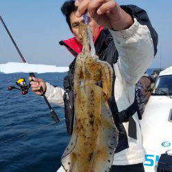 ソルトウォーターガイドフレンズ 釣果