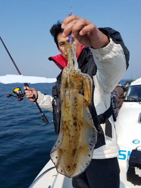 ソルトウォーターガイドフレンズ 釣果