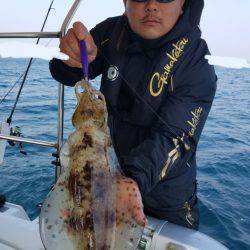 ソルトウォーターガイドフレンズ 釣果