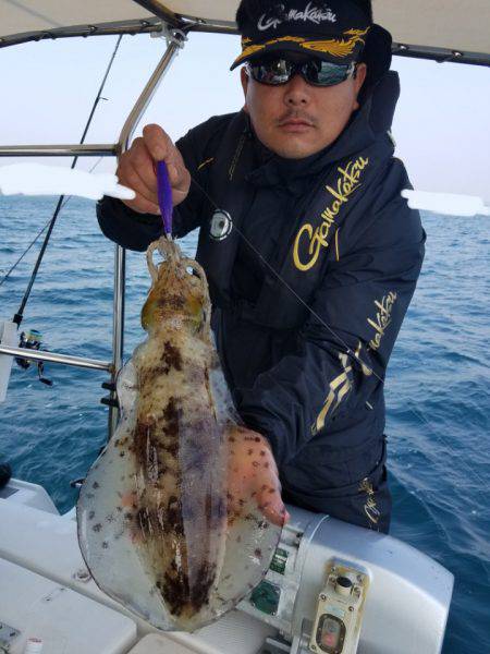 ソルトウォーターガイドフレンズ 釣果