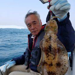 ソルトウォーターガイドフレンズ 釣果