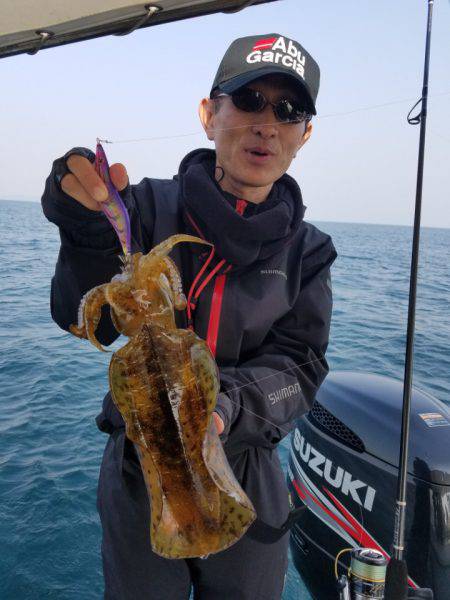 ソルトウォーターガイドフレンズ 釣果