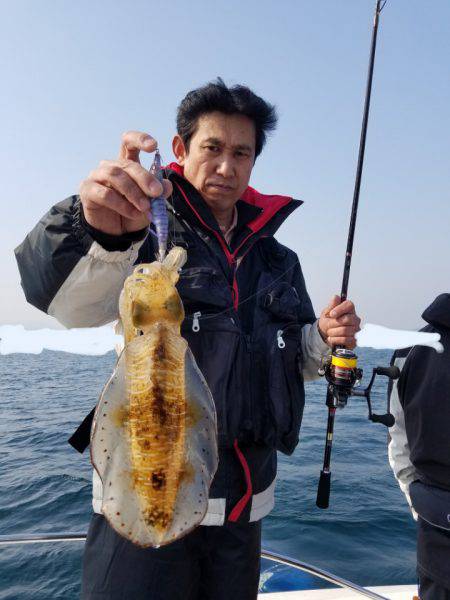 ソルトウォーターガイドフレンズ 釣果