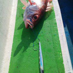 丸万釣船 釣果