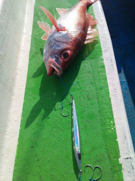 丸万釣船 釣果