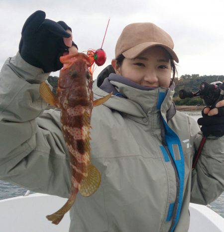 遊漁船　家入 釣果