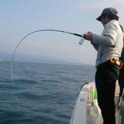 遊漁船 家入 釣果