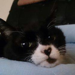 遊漁船 家入 釣果