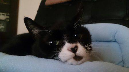 遊漁船 家入 釣果