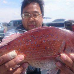 第三共栄丸 釣果