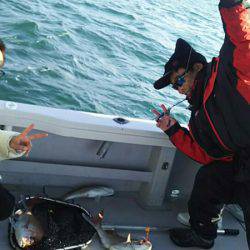 タイラバ遊漁船 ワンピース 釣果