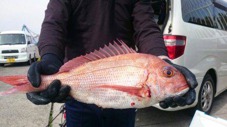 だて丸 釣果