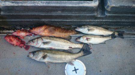 FISHING RISKY 釣果