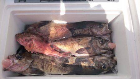 海龍丸（石川） 釣果