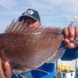 第三共栄丸 釣果