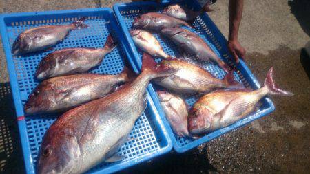 第三共栄丸 釣果