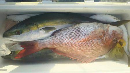 サンマリン 釣果