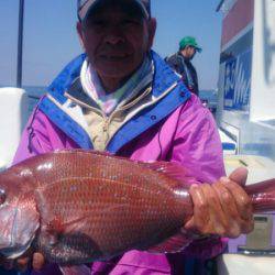 第三共栄丸 釣果