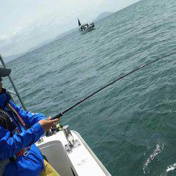 タイラバ遊漁船 ワンピース 釣果