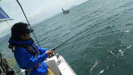 タイラバ遊漁船 ワンピース 釣果