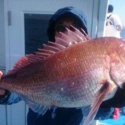 第三共栄丸 釣果