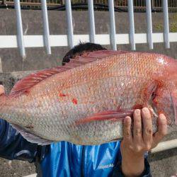 だて丸 釣果
