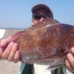 第三共栄丸 釣果