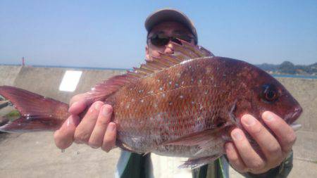 第三共栄丸 釣果