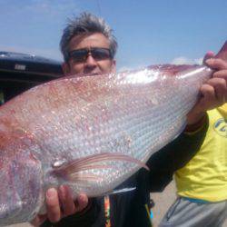 第三共栄丸 釣果