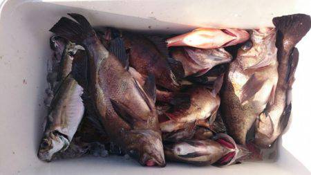 海龍丸（石川） 釣果