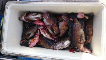 海龍丸（石川） 釣果