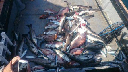 FISHING RISKY 釣果