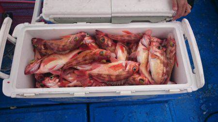 海龍丸（石川） 釣果