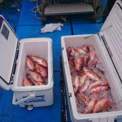 海龍丸（石川） 釣果